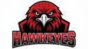 Hawkeyes Logo Option 3
